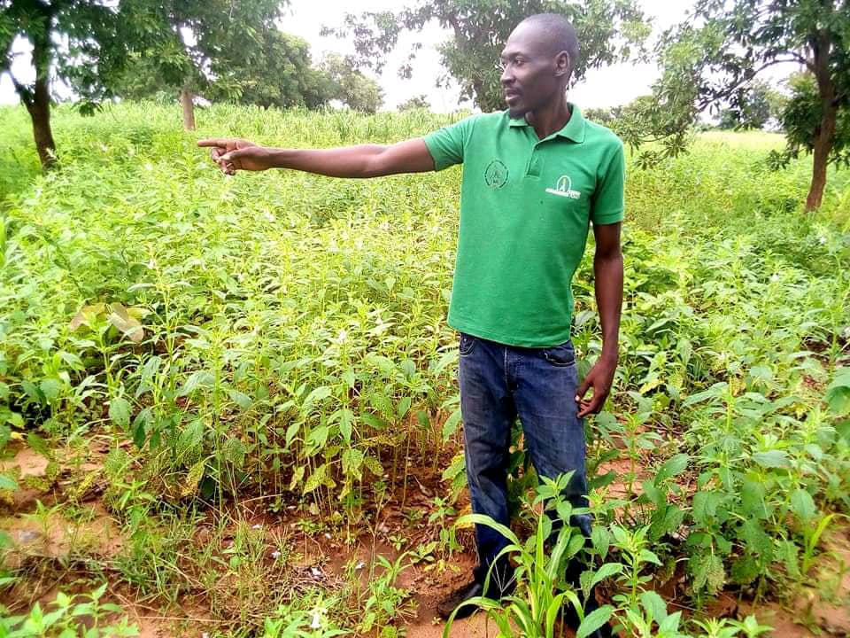 Article : Parfait Djimnadé, un jeune tchadien pionnier de l’agrobusiness