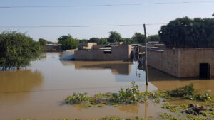 Article : Inondations au Tchad : des pluies torrentielles frappent le pays